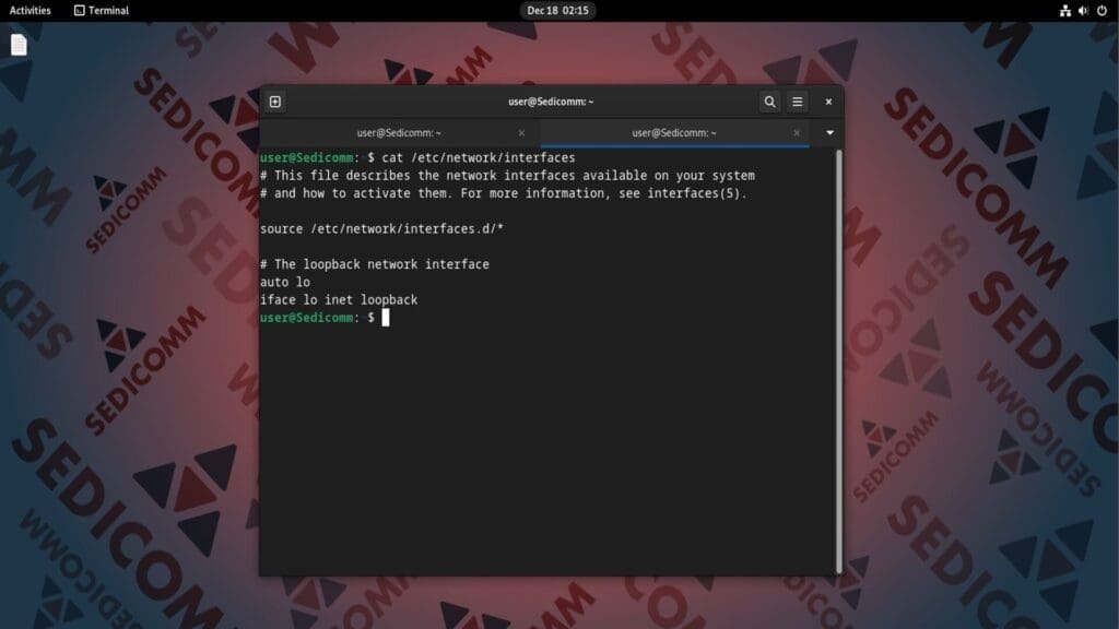 cat network interfaces
