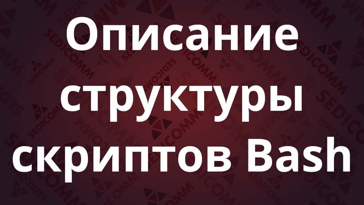Описание структуры скриптов Bash