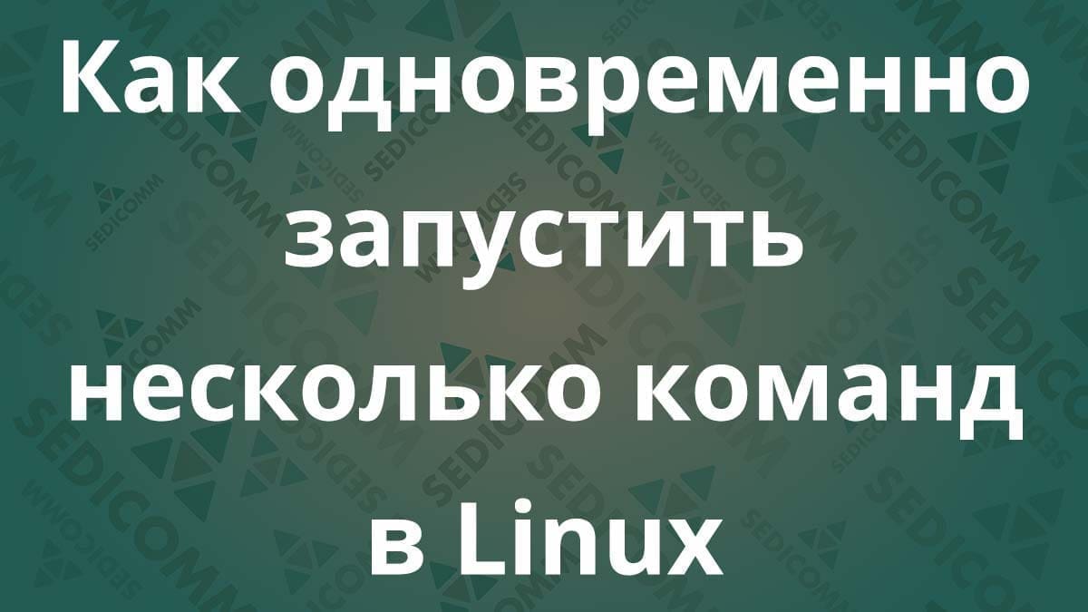 Как одновременно запустить несколько команд в Linux