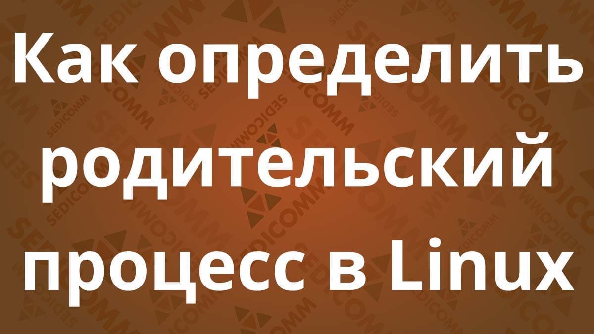Как определить родительский процесс в Linux