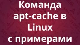 Команда apt-cache в Linux с примерами