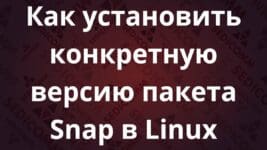 Как установить конкретную версию пакета Snap в Linux