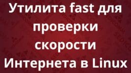 Утилита fast для проверки скорости Интернета в Linux