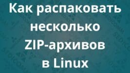 Как распаковать несколько ZIP-архивов в Linux
