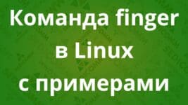 Команда finger в Linux с примерами