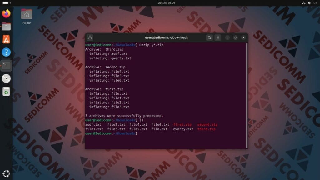 unzip using backslah