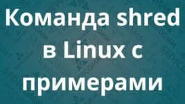 Команда shred в Linux с примерами