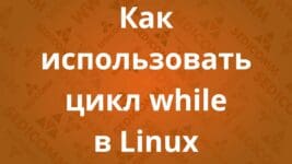 Как использовать цикл while в Linux