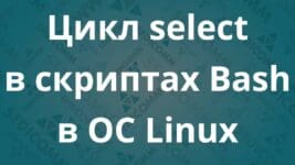 Цикл select в скриптах Bash в ОС Linux