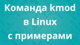 Команда kmod в Linux с примерами
