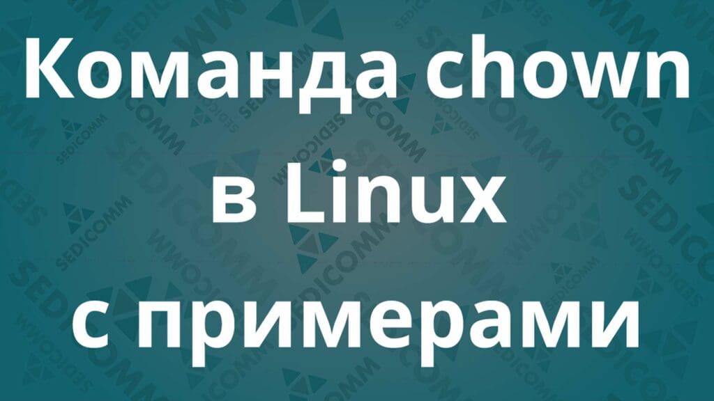 Команда chown в Linux с примерами