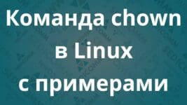 Команда chown в Linux с примерами
