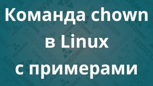 Команда chown в Linux с примерами