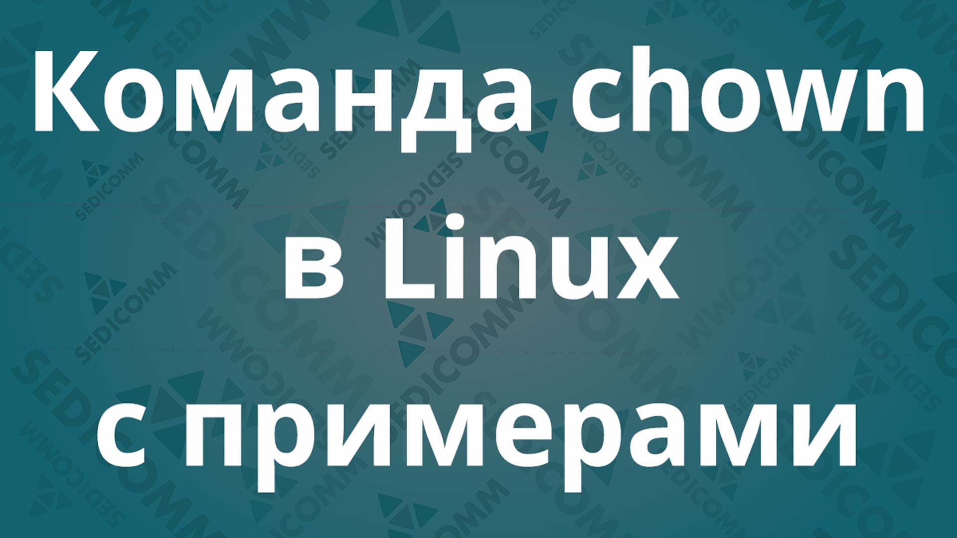 Команда chown в Linux с примерами