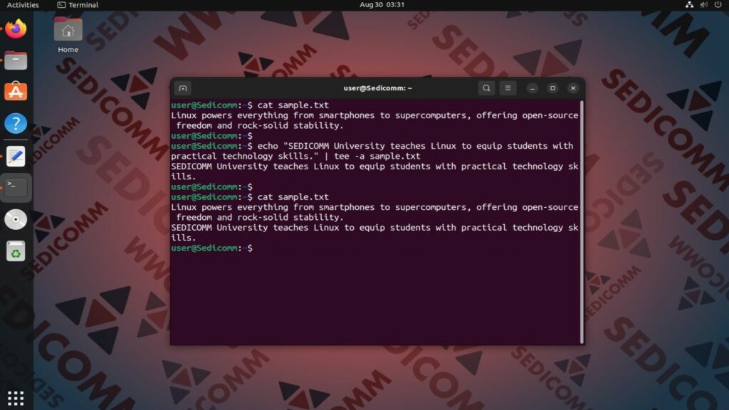 append using tee